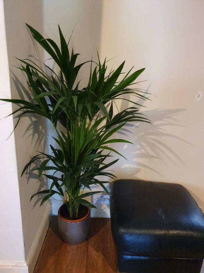 Chaps Guesthouse Southampton Dış mekan fotoğraf